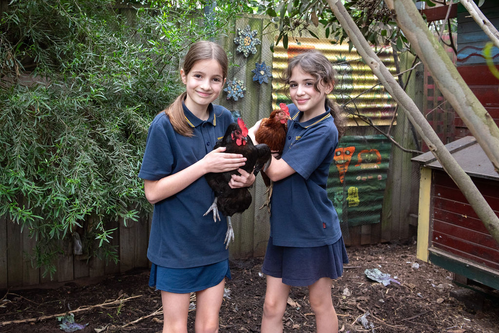 Templestowe Valley