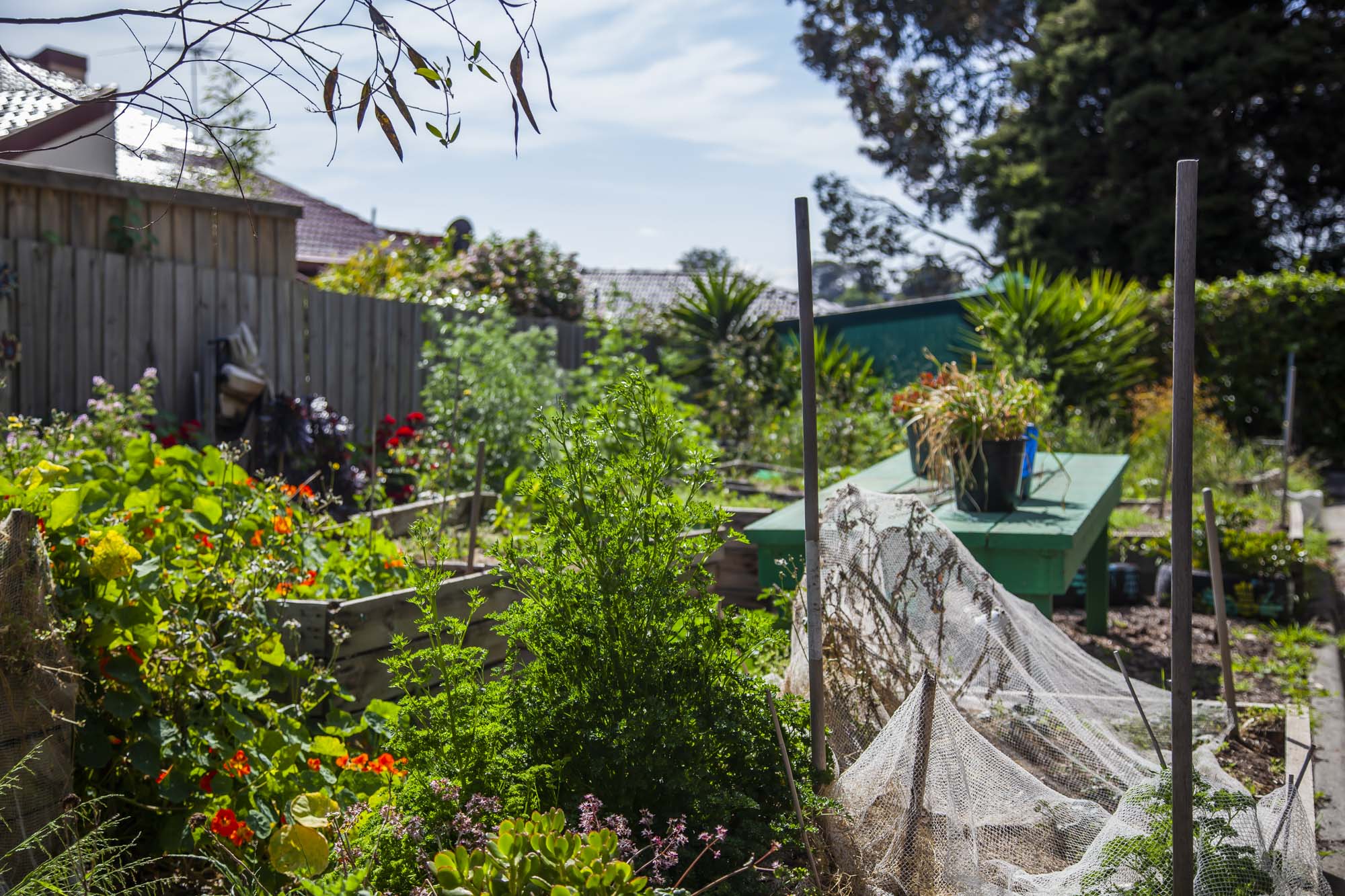 /uploaded_files/media/gallery/1757560271TVPS-sustainability-garden.jpeg